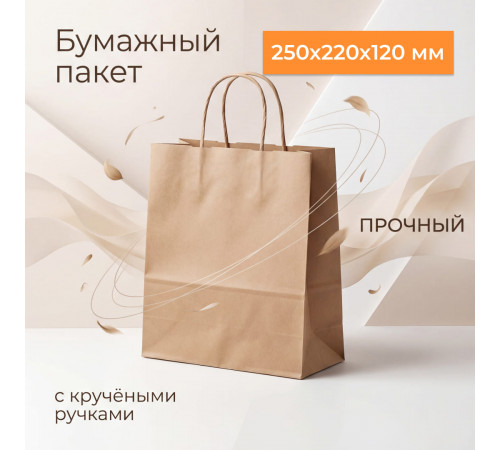 Пакет бумажный с круч. ручками 250*220*120 крафт (кор250шт)