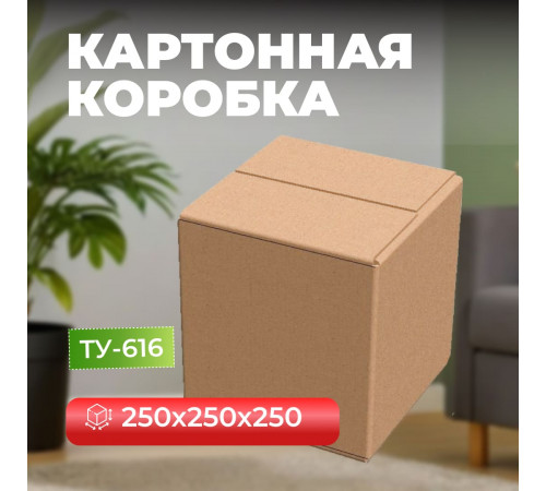 Коробка картонная 250*250*250 ТУ-616